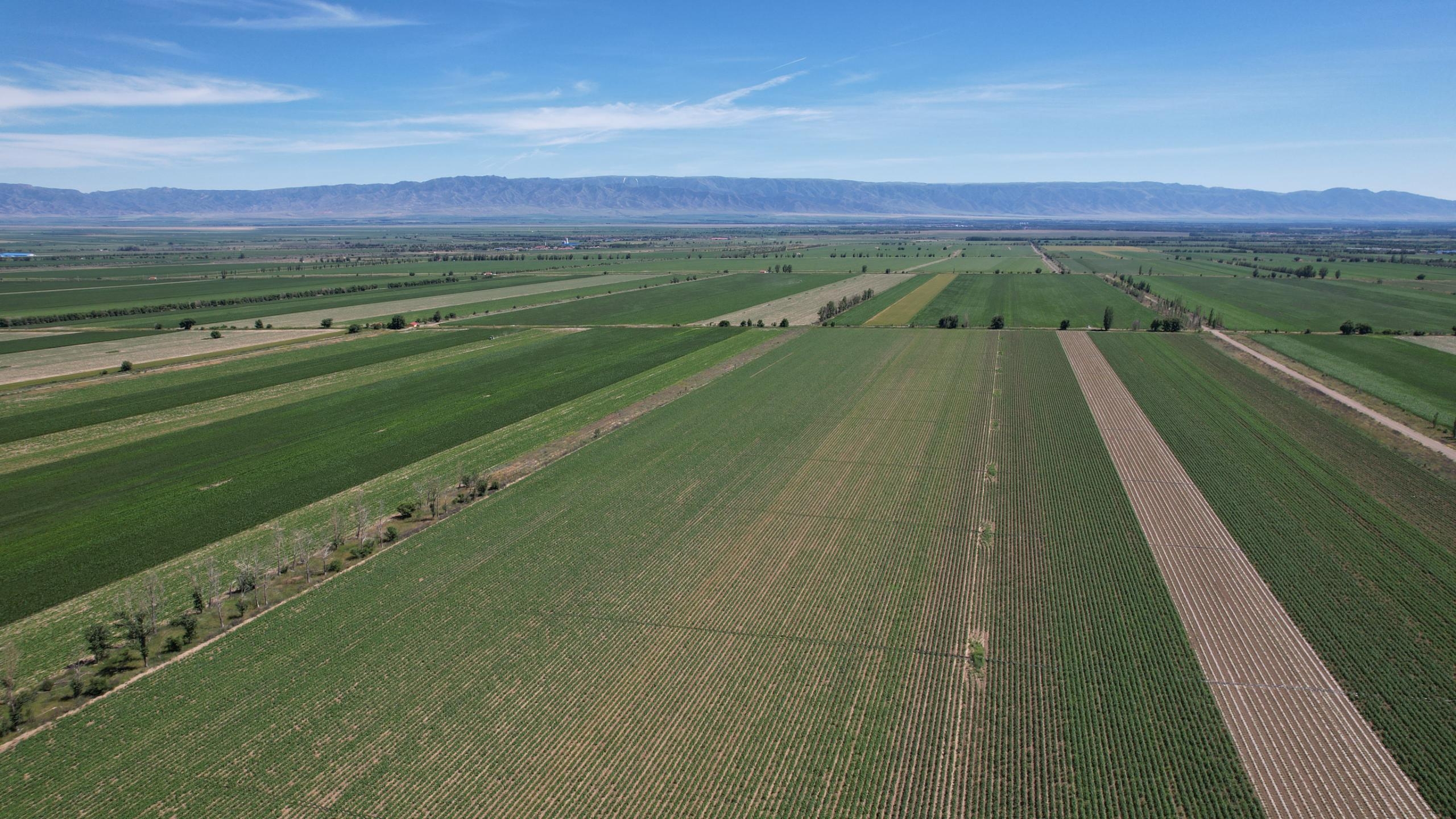 鹽津鋪?zhàn)印赁r(nóng)心 重磅聯(lián)名——辣白菜薯片新鮮上市 鹽津鋪?zhàn)印赁r(nóng)心 重磅聯(lián)名——辣白菜薯片新鮮上市
